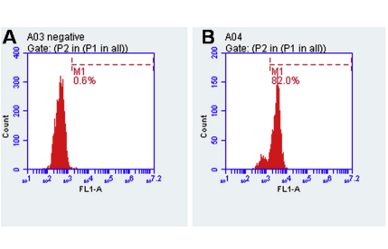 Stromal cell-derived factor 1 promoted migration of adipose-derived stem cells to the wounded area in traumatic rats