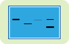 Western Blot