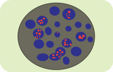 TUNEL