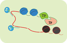 3C