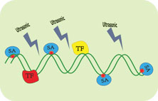 FAIRE-Seq