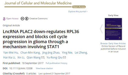 ףغͻLncRNAоJ Cell Mol Med־