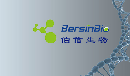 ڲtengbo9885ѧ