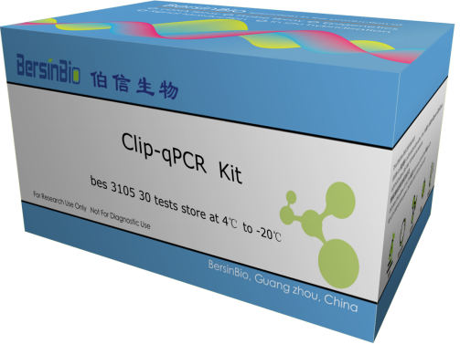 ʱǱз: CLIP-qPCR kit ¡