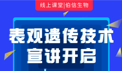 Ŵ