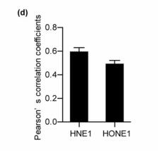 LncRNA linc00312 suppresses radiotherapy resistance by targeting DNA-PKcs and impairing DNA damage repair in nasopharyngeal carcinoma