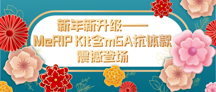 MeRIP Kitm6A𺳵ǳ