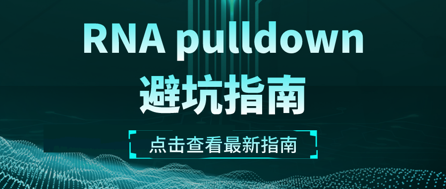ЩRNA pulldownϲȹĿ