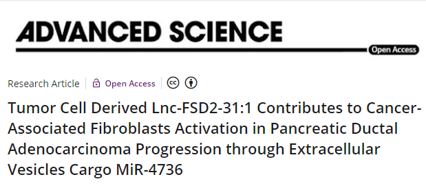 ̽Ŵѧоķϸ Lnc-FSD2-31:1 ͨϸݻ MiR-4736 ٽٵٰչеİ֢سάϸ (IF=17.521)
