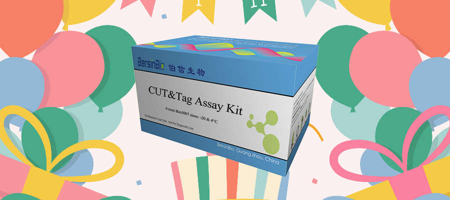 źƼCUT&Tag  Assay  Kit