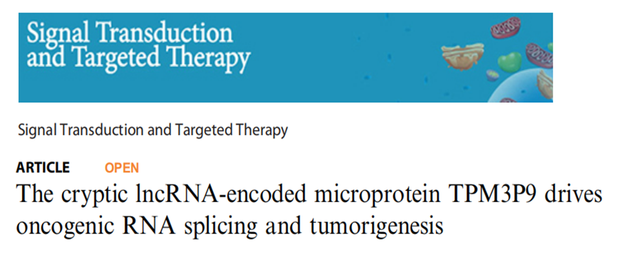 ̽Ŵѧоķlncrna΢TPM3P9°RNAļӺķ