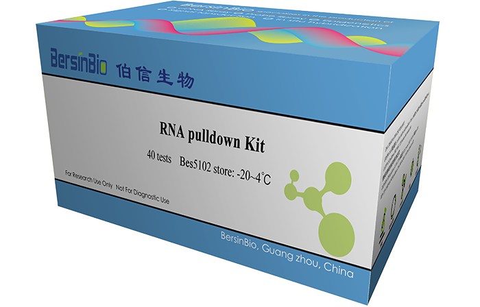 RNA pulldownԼ