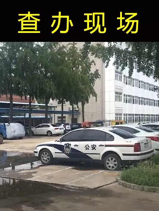 1566366092510442.jpg 3.webp.jpg