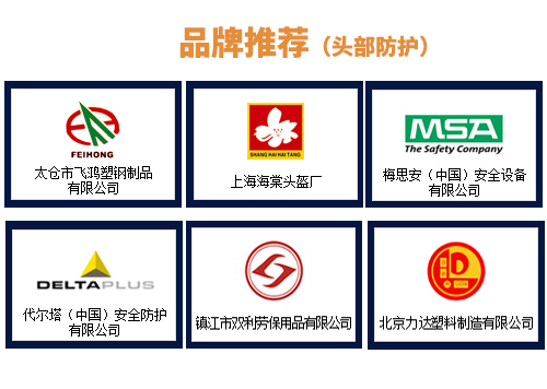 1521015092266022.jpg 头部防护.jpg