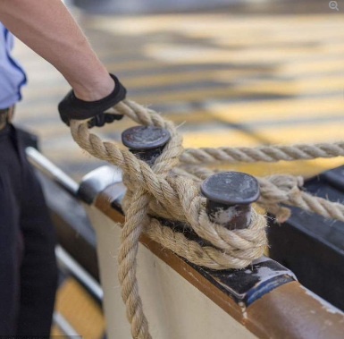 1502068965126255.png 144999622.png