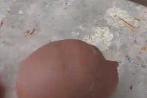 1509415951468487.jpg 20171021051531650n.jpg