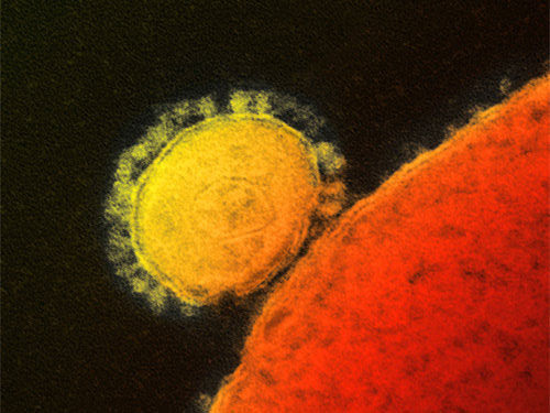 1433213494493144.jpg 1400037629_xp2v1H.jpg