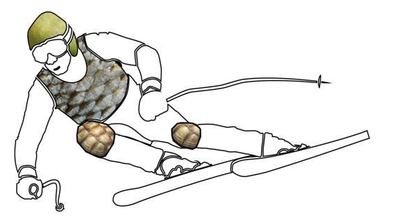 1500258507375021.png 222.png