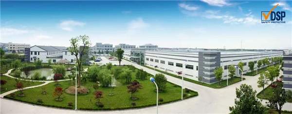 ݵʩգDSPйͱƷ֮߳·